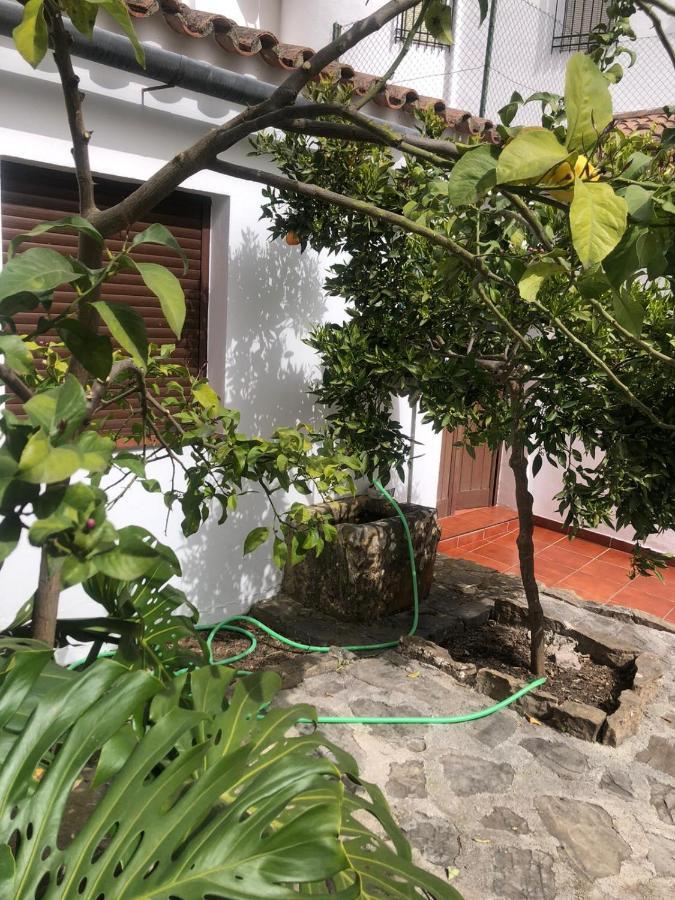 Casa De Tita Dolores Cortes de la Frontera Kültér fotó